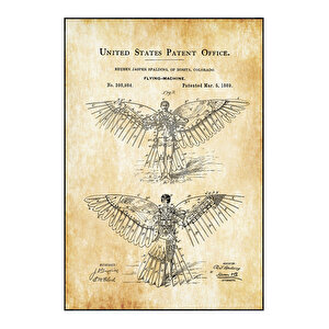 1889 Wing Flying Machine Patent Tablo Czg8p519