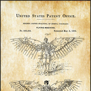 1889 Wing Flying Machine Patent Tablo Czg8p519