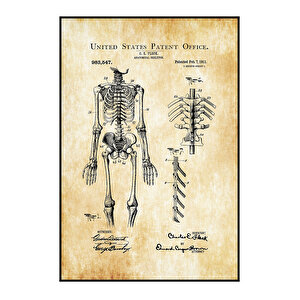 1911 Anatomical Skeleton Patent Tablo Czg8p820