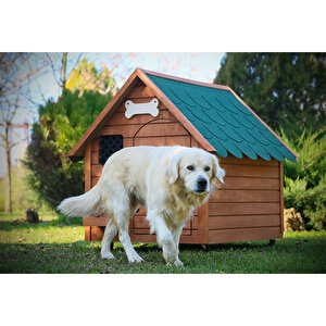 Mandu Isi Yalitimli Ahsap Kopek Kulubesi Xl Koctas