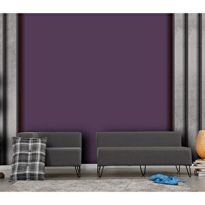 Pasific Home Roha Sol Kose Koltuk Koyu Gri Koctas