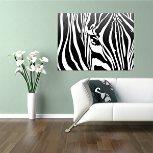 Zebra Kanvas Tablo Haze-007 50x70 cm