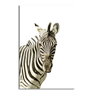 Zebra Kanvas Tablo Haze-231 50x70 cm