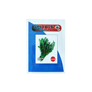 Kekik Tohumu - 5 Gr