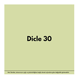 Anti-fire(18 Kg)-dicle 30