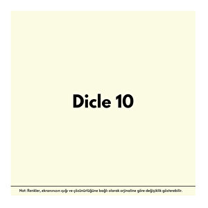 Anti-fire(18 Kg)-dicle 10