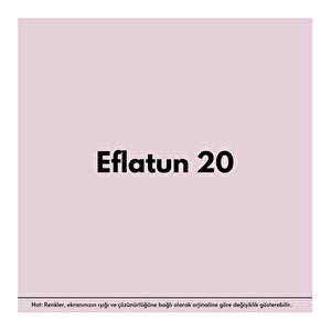 Anti-fire(18 Kg)-eflatun 20