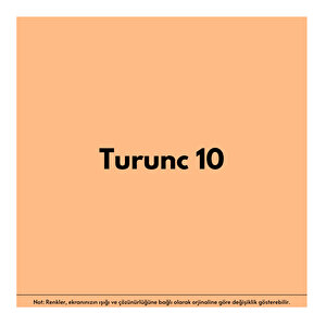 Anti-fire(18 Kg)-turunç 10