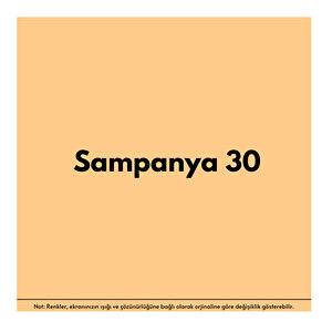 Anti-fire(18 Kg)-şampanya 30