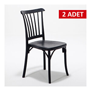 2 Adet Violet Mutfak Sandalyesi Siyah