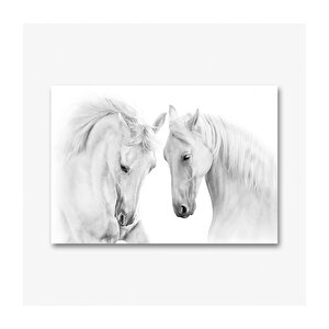 Beyaz Atlar Kanvas Tablo 50x70cm