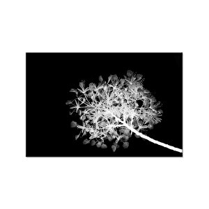 Çiçek Kanvas Tablo Cige-0303 35x50 cm