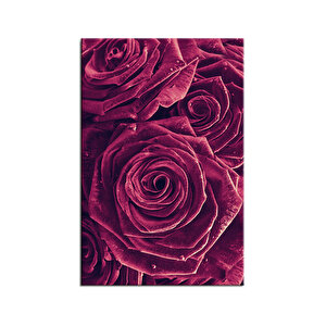 Çiçek Kanvas Tablo Cige-3967 75x100 cm