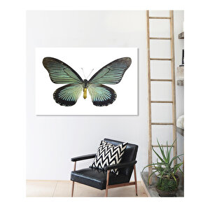 Kelebek Dev Boyut Kanvas Tablo Hake-227 75x100 cm