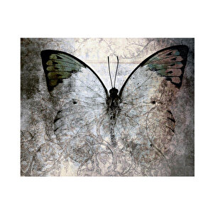 Kelebek Soyut Kanvas Tablo Hake-235 50x70 cm