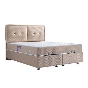 Vectra Çift Kişilik Baza Başlık Deluxe Yatak Seti Krem 150x200 cm