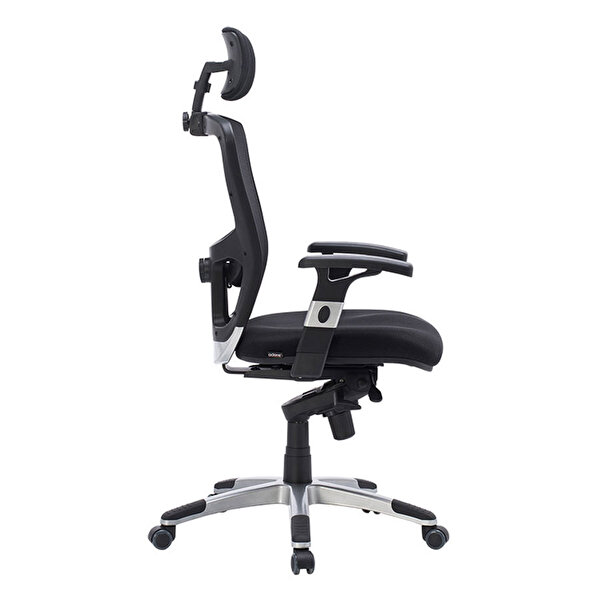 Adore Mobilya
    Manager Techno File Sırtlı Yönetici Koltuğu VLT-380-FS-1_2