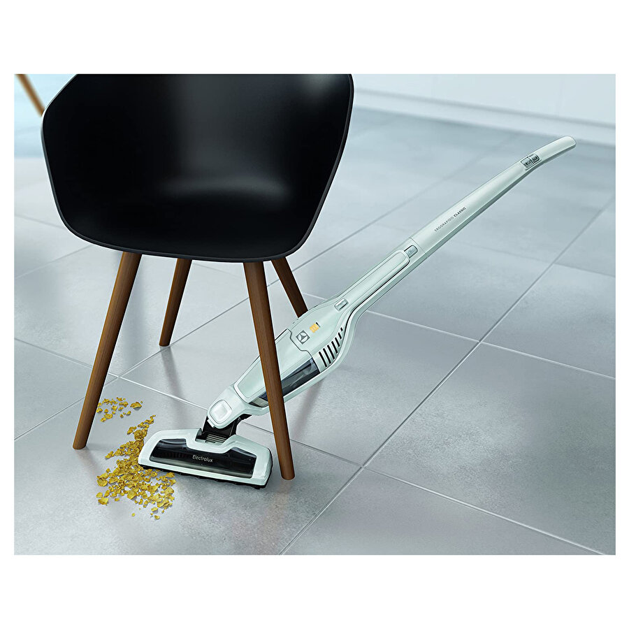Electrolux
    Classic Dik Süpürge EERC72IW_1